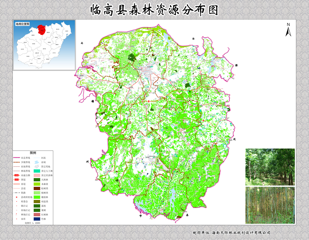 临高县森林资源分布图 - 海南天际林业规划设计有限图片